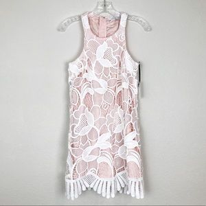 Lovers + Friends Caspian Shift Dress